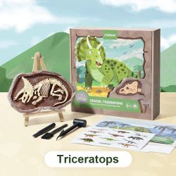 Dinoszauruszok feltárása - Triceratopsz