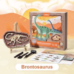 Ausgrabung von Dinosauriern - Brontosaurus